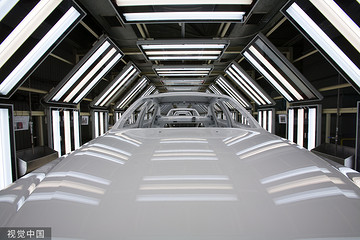 新能源汽车市场走向两极分化