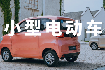 小型電動車何以“大火”?