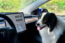 夏日用车痛点多？特斯拉为你一一击破！