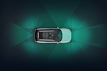 自游家難自由，欲走差異化卻成“四不像”