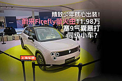精致少年核心出装！蔚来Firefly萤火虫11.98万塞9气囊暴打同级小车？