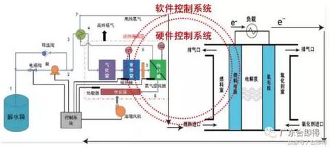 批驳青年汽车 追寻“水氢”的足迹