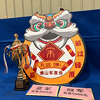佛山宋PLUS车友会