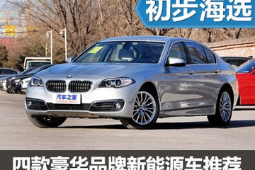 走在环保前列 4款豪华品牌新能源车推荐