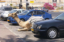 奇葩占车位18招，为停个车你们也是蛮拼哒！