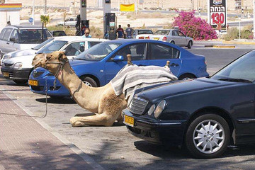 奇葩占车位18招，为停个车你们也是蛮拼哒！