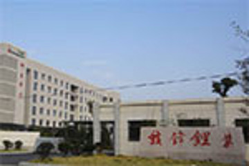 赣锋锂业2年涨近10倍 新能源汽车能否摆脱政策依赖