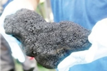 行业弃钴用镍将引发电池厂倒闭潮？