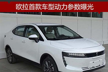 歐拉首款車型動力參數曝光，最大續航280公里