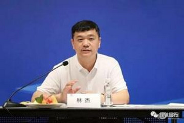 吉利销售总经理林杰：把“生态”做活，以开放心态打造车联网平台