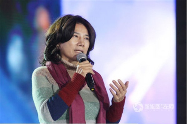 两会,董明珠，电池回收，银隆储能