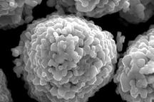 湘潭电化深化正极材料布局 参股公司为CATL批量供货