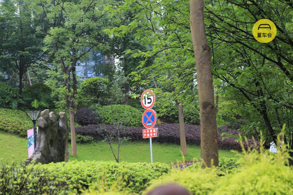 圖10