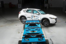 澳洲研究：半数汽车买家不会优先考虑安全性