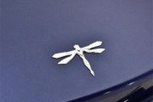 三大平臺/更多新車 陸群曝前途汽車產品計劃