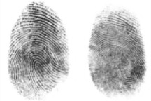 Synaptics演示生物辨识技术 可利用指纹起动车辆