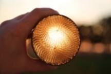 KIT研究人员用废木材生产合成天然气 可用于天然气及电力燃气车