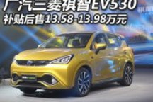 補貼后售13.58-13.98萬 祺智EV530上市