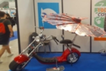 意大利团队受向日葵启发研发新型电动汽车太阳能充电器 可随太阳转动为汽车充电