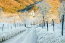 蔚来卖一辆车亏80多万，新造车们的冬天怎么如此难捱