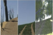 全美225万公里道路没标识？揭开无人车的极端行驶秘籍