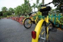 共享单车未来何去何从？