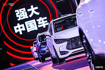 手慢者无，比亚迪e1限量发售