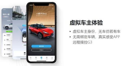 图6