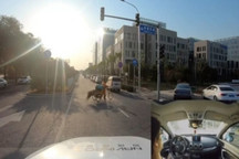 四维图新获批北京市自动驾驶路测T3牌照