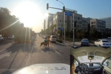 四维图新获批北京市自动驾驶路测T3牌照