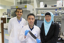 科學家研發新型陰極制備法 讓儲能超10倍的鋰硫電池取代鋰離子電池