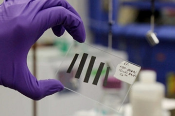 科学家研新电极机械性能得到改善 进而提升电动汽车的效率