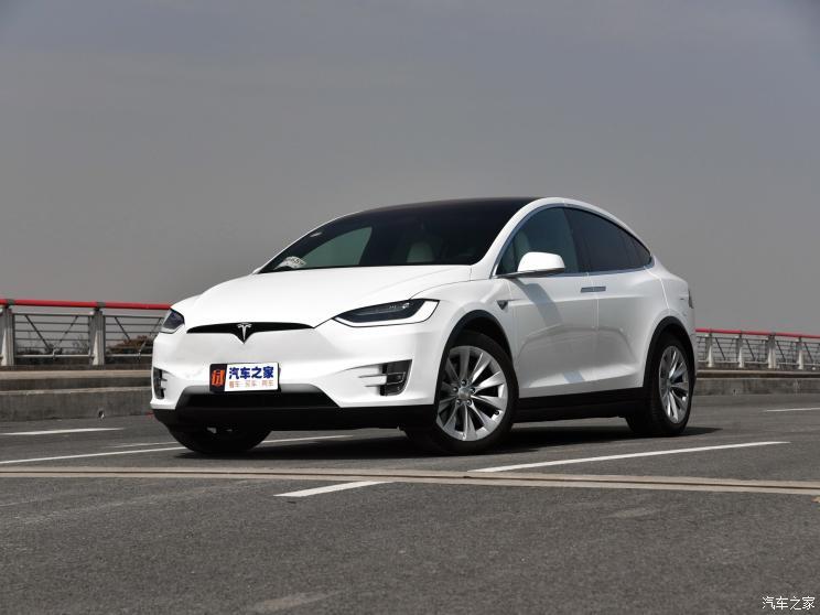 特斯拉（進(jìn)口） Model X 2019款 Performance 高性能版