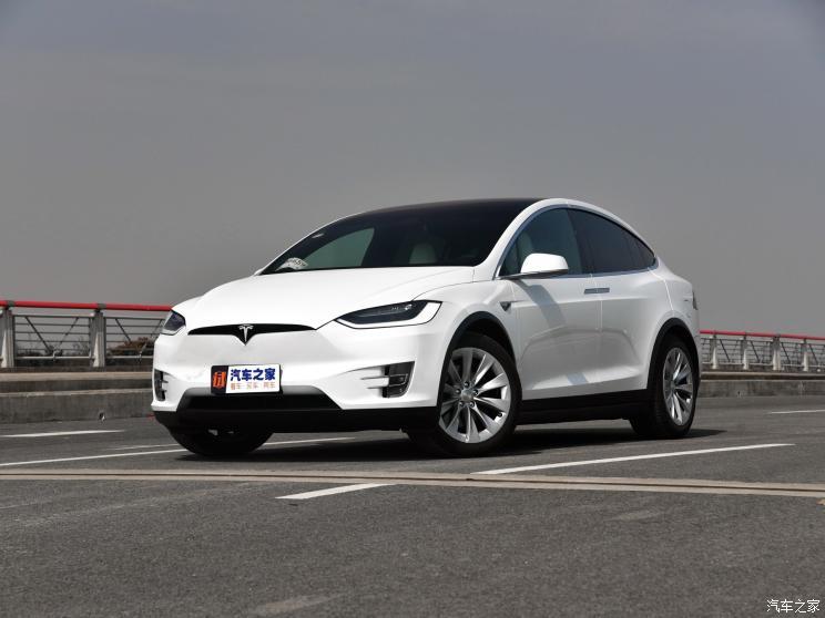 特斯拉（进口） Model X 2019款 Performance 高性能版