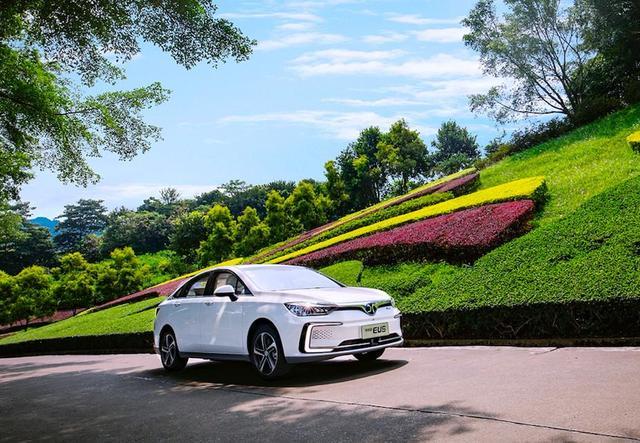 2019年年終大總結(jié)，哪款電動(dòng)車賣的最好？