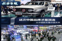 从中国新车看产业未来