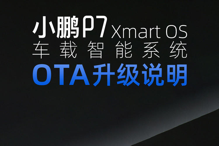 政策，特斯拉
