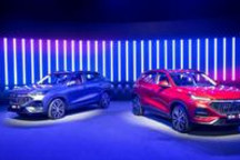 如何花10万块钱买到“博尔特”？