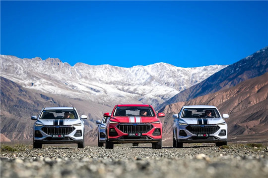<a class='link'  target='_blank'>SUV</a>