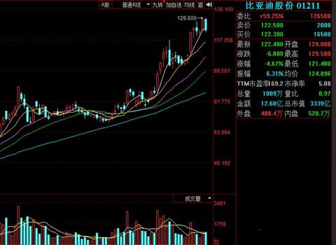 超九成个股收红 新能源车板块多重利好