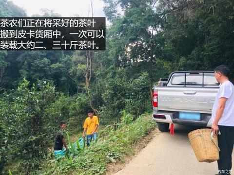 销量，疫情，皮卡,电动皮卡，皮卡解禁