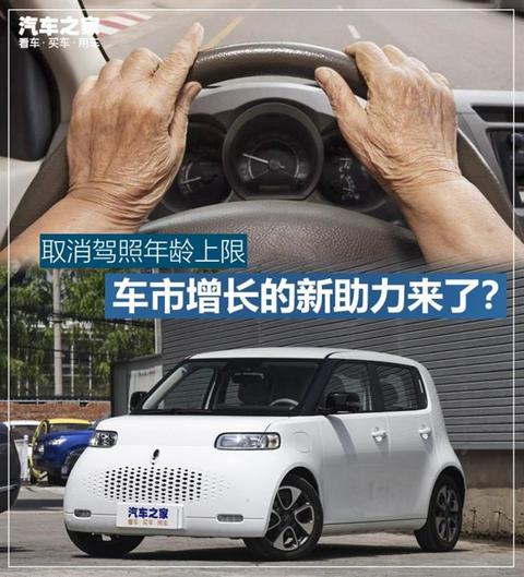 销量,政策,驾照年龄,老年购车 销量,政策,驾照年龄,老年购车