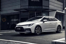 买菜车or运动车？成年人全部都要