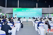 新能源汽车下乡四川成都站启动 冀延续旺盛需求