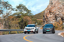 稳渠道提士气 东风雪铁龙实现连续多月环比增长?