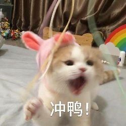 比亞迪，比亞迪,新能源汽車,汽車銷量,威馬