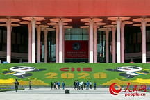 进博会开幕！“双循环”新格局下，中国汽车全球化之路再提速