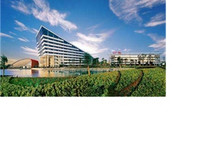 10月销35万，东风内部谁会最快达标？