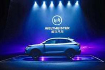 威马“主动召回”的背后是什么？