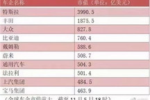 新能源车企市值飙升，资本泡沫还是发展新机遇？
